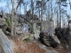 hammonds-rocks-back_01