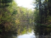 ibberson-pond