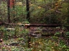 ibberson-puddle