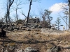 pole-steeple-vista-location_03