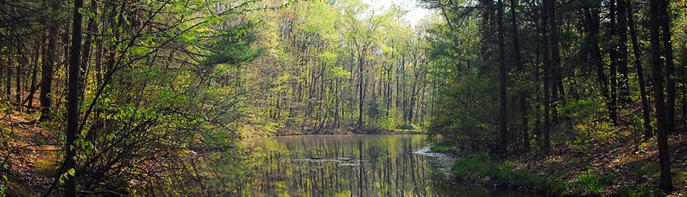 ibberson-trail-header