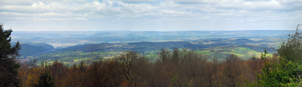 Shorbs Summit Vista